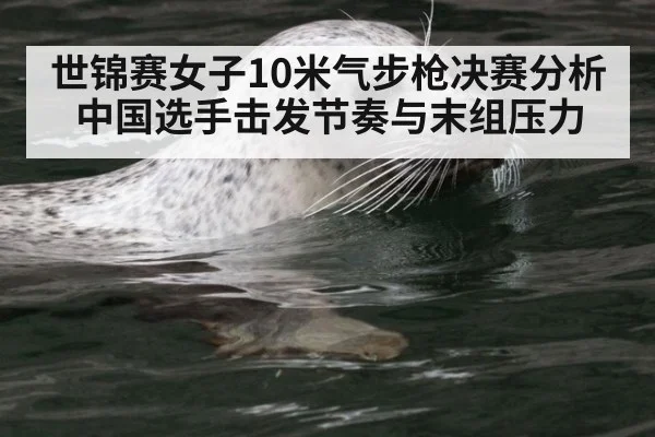 世锦赛女子10米气步枪决赛分析 中国选手击发节奏与末组压力